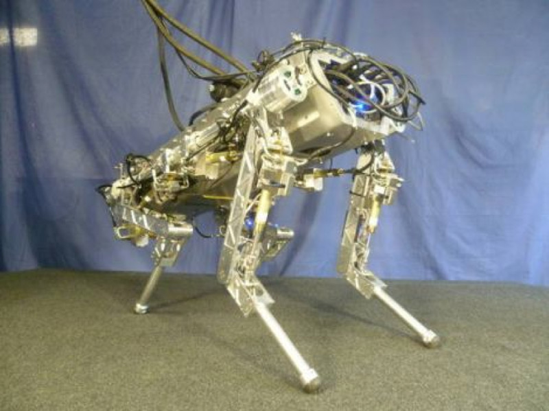 Robot