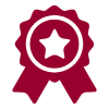 Icon-Ultrasonics-Performance Icon-Ultrasonics-Performance