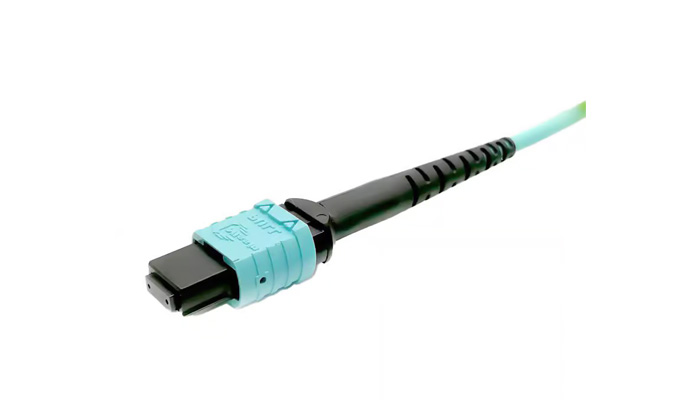 mtferrule1
