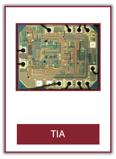 ROSA-sub-component